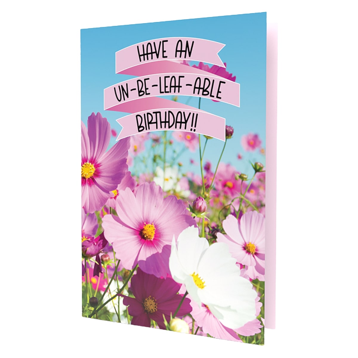 greeting cards birthday cards hallmarks seeds inside. seeds daisy, dahlia, wildflower, sage, snapdragon, petunia, baby's-breath, kidney bean, tomato, moon flower, peppers, eggplant, lavender, thyme, beet, snap pea, carrot, aloe, dill, watermelon and more seeds. get a card for a some seeds a plant lover good garden lover gardening. grow your plants flowers easily with these cards.