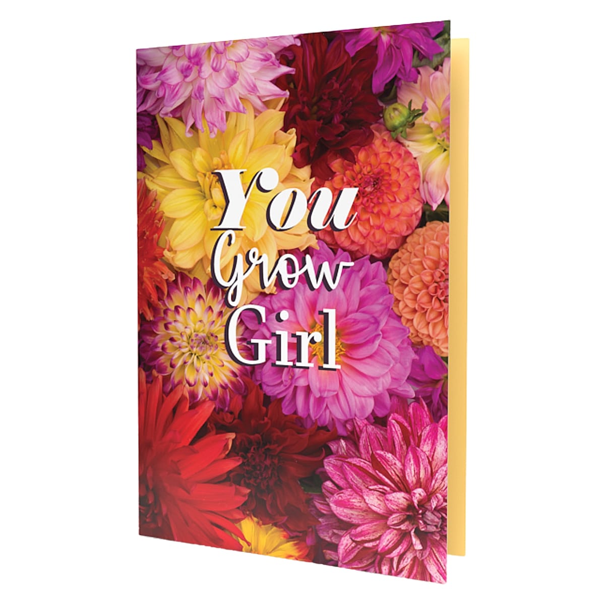 greeting cards birthday cards hallmarks seeds inside. seeds daisy, dahlia, wildflower, sage, snapdragon, petunia, baby's-breath, kidney bean, tomato, moon flower, peppers, eggplant, lavender, thyme, beet, snap pea, carrot, aloe, dill, watermelon and more seeds. get a card for a some seeds a plant lover good garden lover gardening. grow your plants flowers easily with these cards.