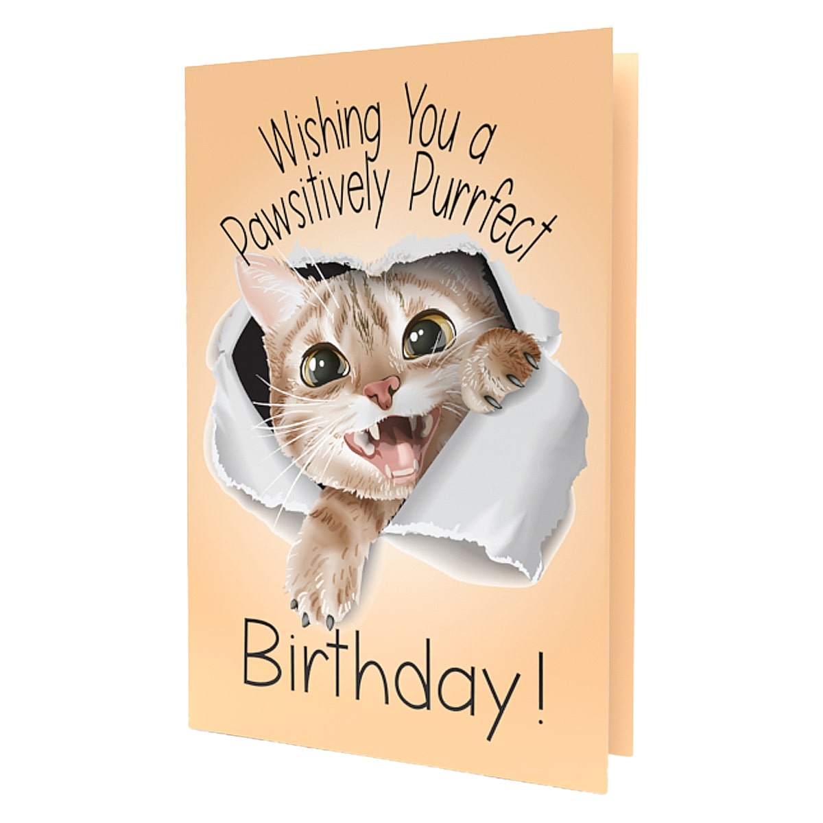 greeting cards birthday cards hallmarks seeds inside. seeds daisy, dahlia, wildflower, sage, snapdragon, petunia, baby's-breath, kidney bean, tomato, moon flower, peppers, eggplant, lavender, thyme, beet, snap pea, carrot, aloe, dill, watermelon and more seeds. get a card for a some seeds a plant lover good garden lover gardening. grow your plants flowers easily with these cards.