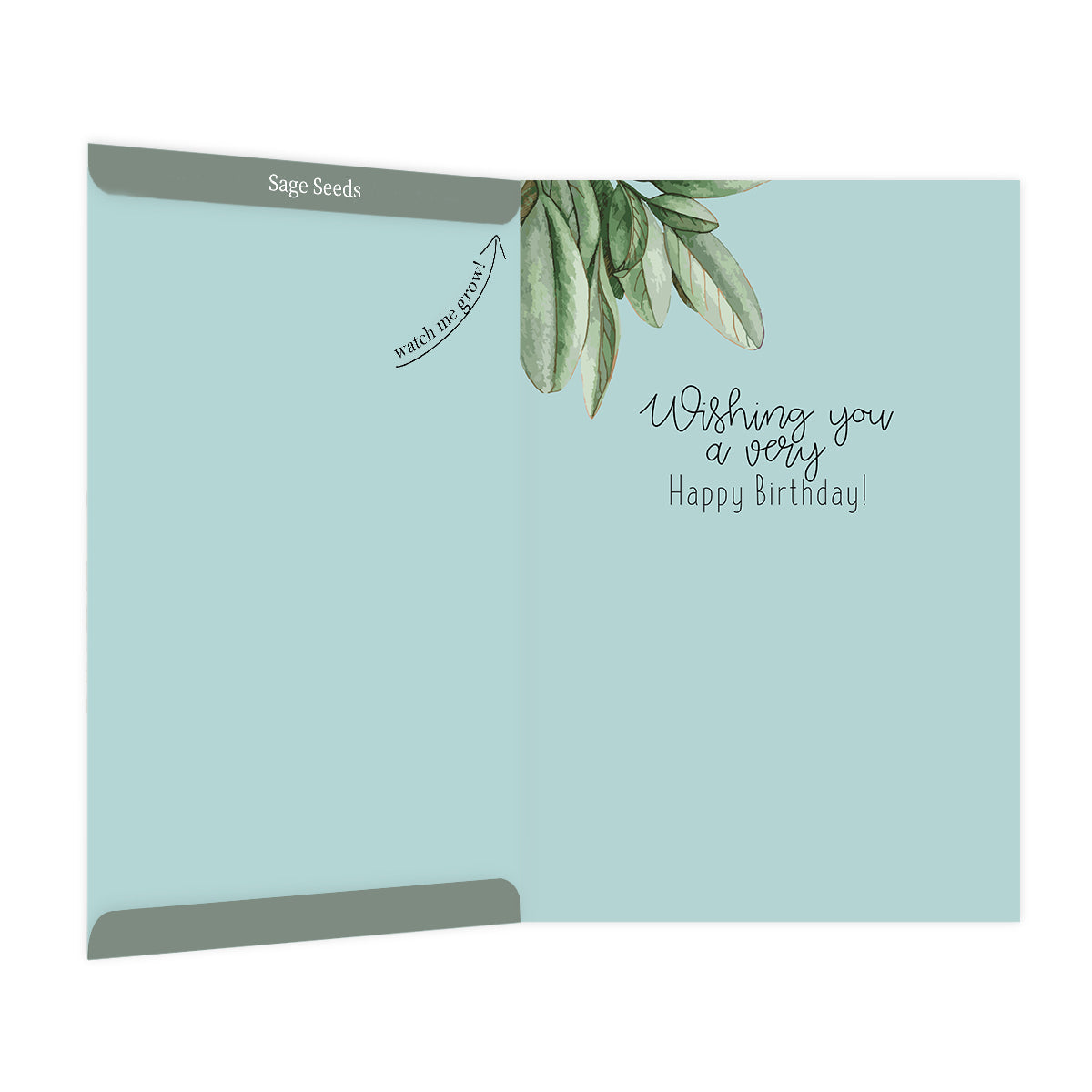 greeting cards birthday cards hallmarks seeds inside. seeds daisy, dahlia, wildflower, sage, snapdragon, petunia, baby's-breath, kidney bean, tomato, moon flower, peppers, eggplant, lavender, thyme, beet, snap pea, carrot, aloe, dill, watermelon and more seeds. get a card for a some seeds a plant lover good garden lover gardening. grow your plants flowers easily with these cards.
