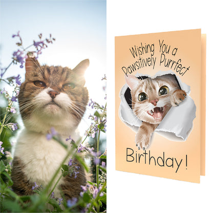 Wishing You A Pawsitively Purrfect Birthday | Flowering Dogwood Tree Seeds Inside