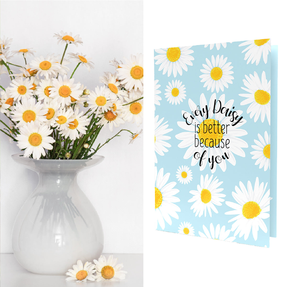 Every Daisy Is Better Because Of You | Daisy Seed Mix Inside