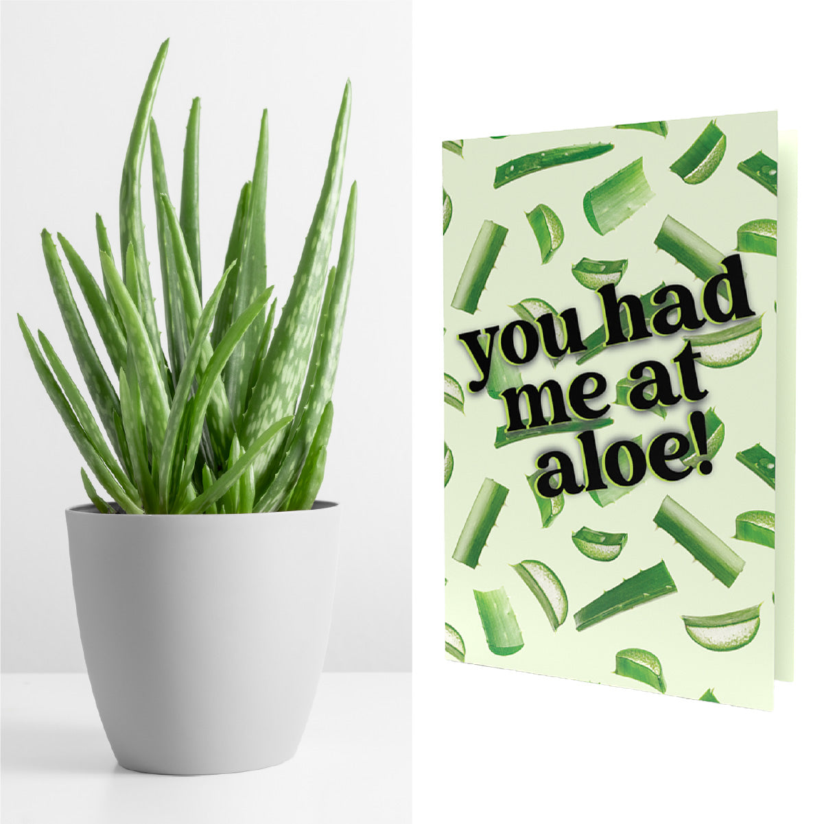 You Had Me At Aloe | Aloe Seeds Inside