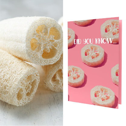 Did You Know I Luffa You | Luffa Seeds Inside