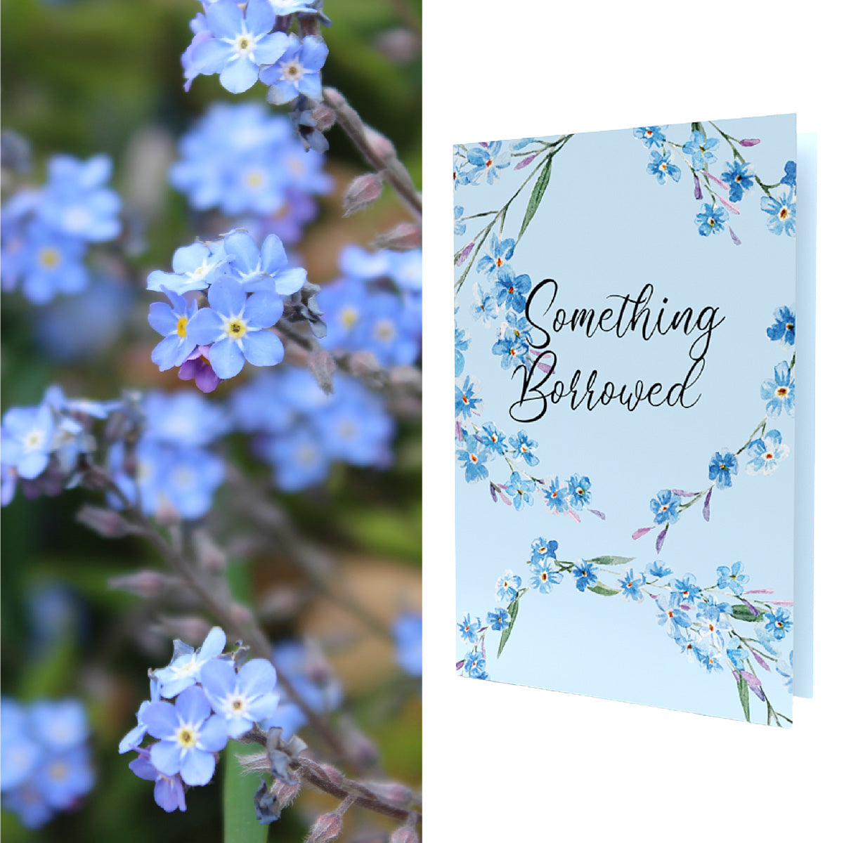 Something Borrowed Something Blue | Forget Me Not Seeds Inside