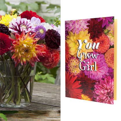 You Grow Girl Dahlia Real | Dahlia Seeds Inside