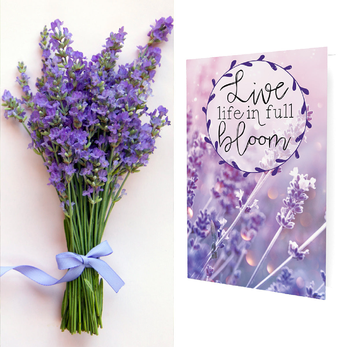 Live Life In Full Bloom Lavender | Lavender Seeds Inside