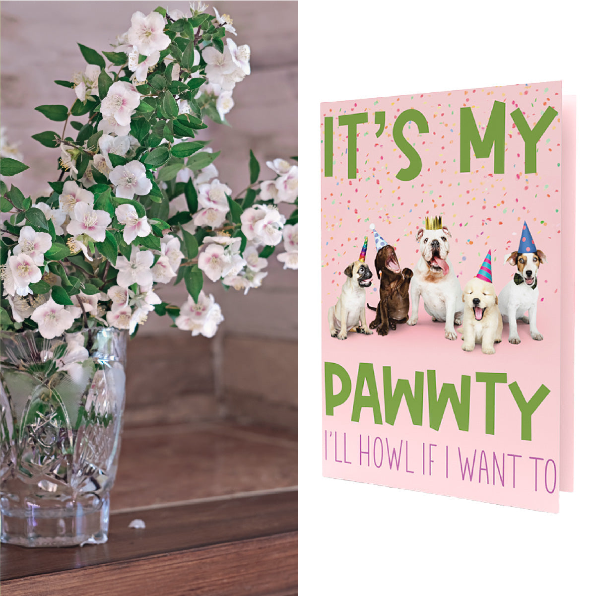 It's My Pawwty I'll Howl If I Want To | Flowering Dogwood Tree Seeds Inside