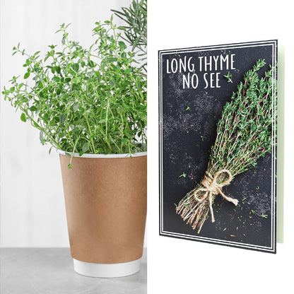 Long Thyme No See I Miss You | Thyme Seeds Inside