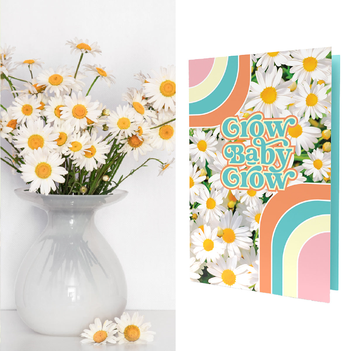 Grow Baby Grow | Daisy Seed Mix Inside