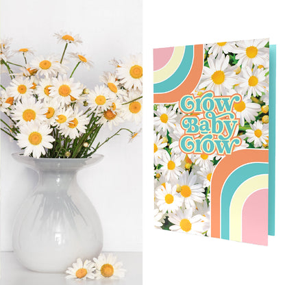 Grow Baby Grow | Daisy Seed Mix Inside