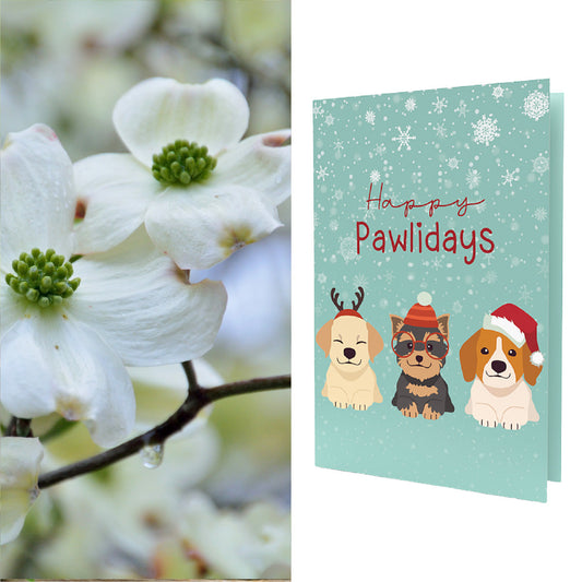 Happy Pawlidays Greeting Card | Flowering Dogwood Tree Seeds Inside