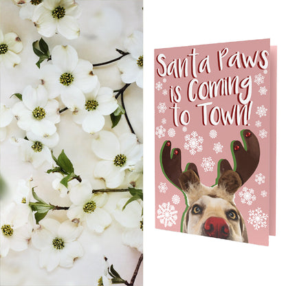 SantaPAWs is Coming to Town Greeting Card | Flowering Dogwood Tree Seeds Inside