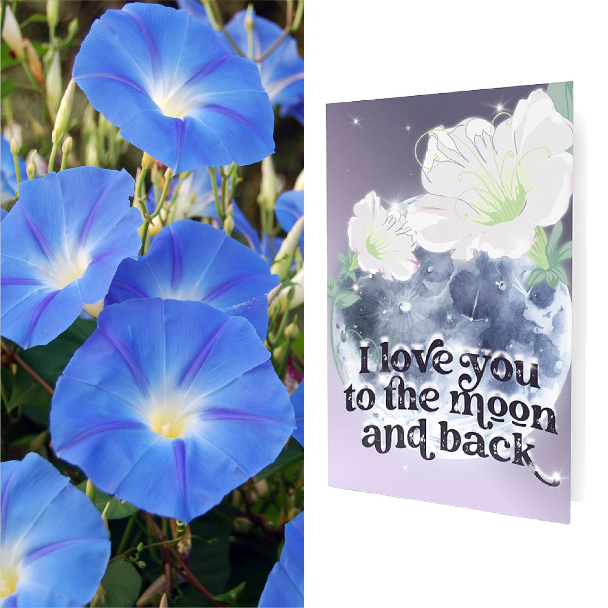 I Love You From The Moon And Back | Moon Flower Seeds Inside