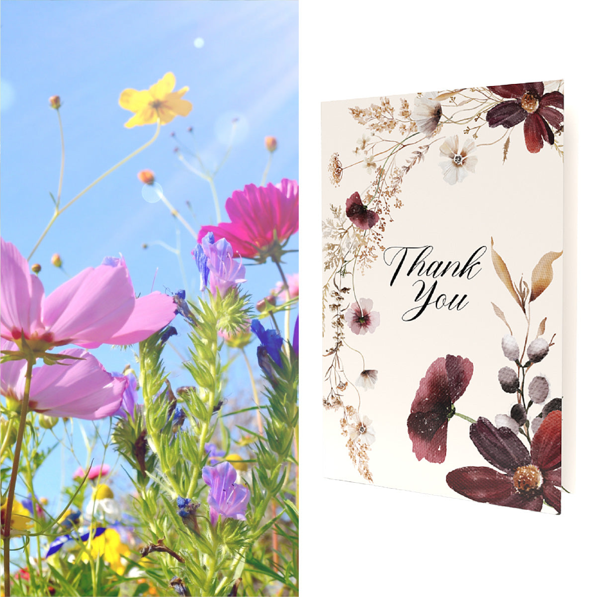 Thank You 2 | Heirloom Wildflower Seeds Inside