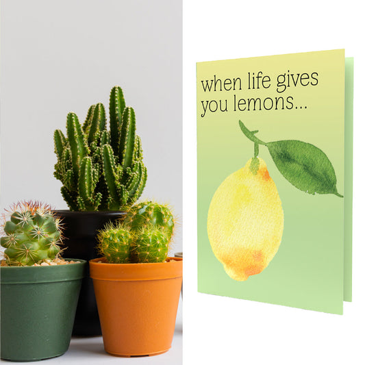 *CHEEKY* | When Life Gives You Lemons | Peruvian Apple Cactus Seeds Inside