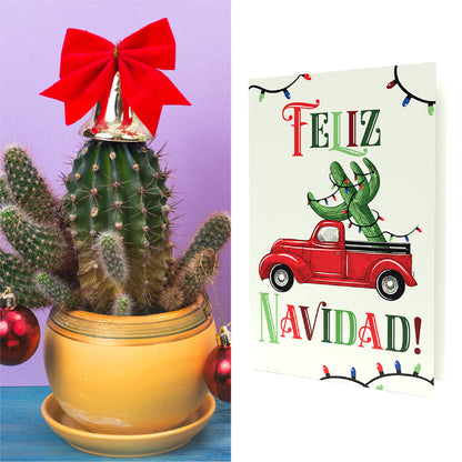 Feliz Navidad | Cactus Seeds Inside