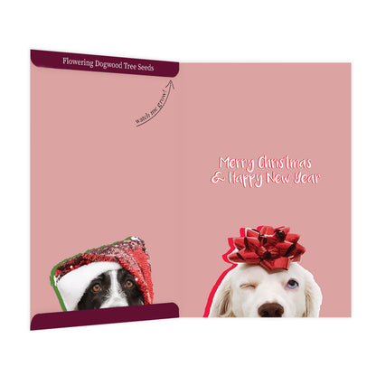 SantaPAWs is Coming to Town Greeting Card | Flowering Dogwood Tree Seeds Inside