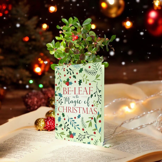 Be-Leaf In The Magic Of Christmas | Wintergreen Bush Seeds Inside