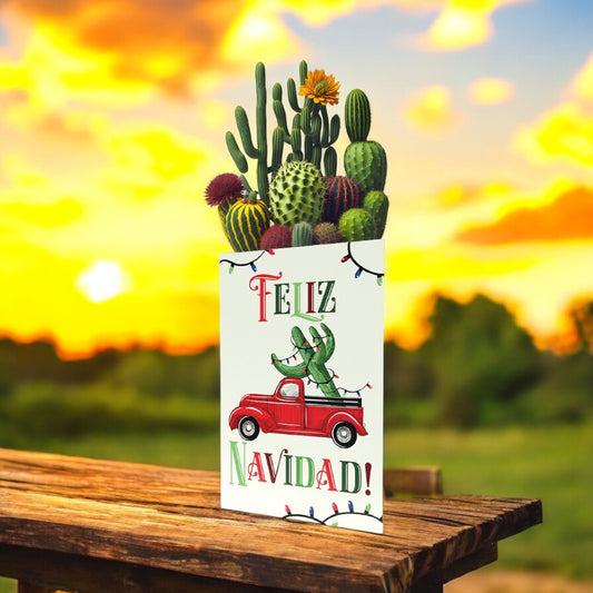 Feliz Navidad | Cactus Seeds Inside